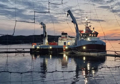 Slik jobber vi for sikrere kranarbeid hos Abyss