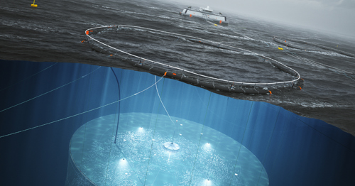 subseaoverviewcrop1200.jpg
