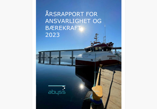 Abyss Group og bærekraftsrapportering